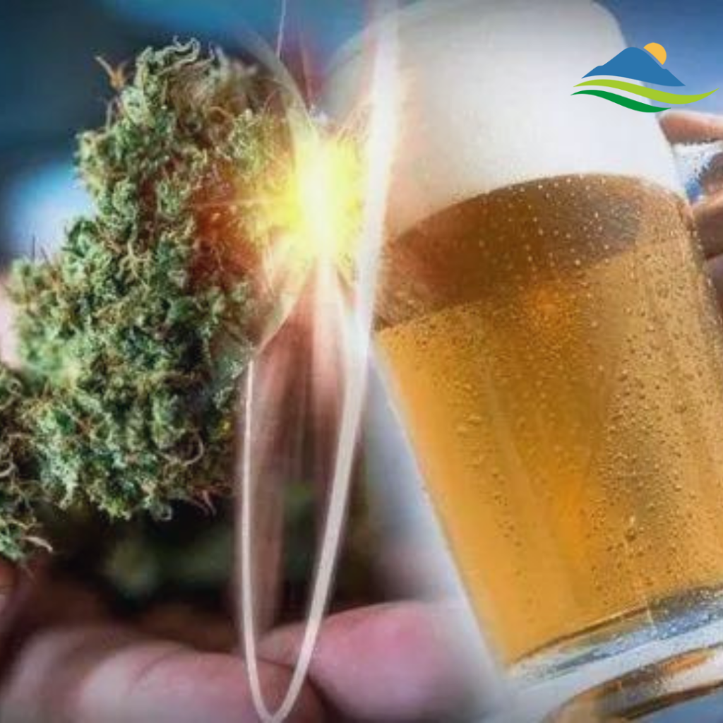 Marijuana and alcohol, which are more dangerous, beneficial, and harmful ?