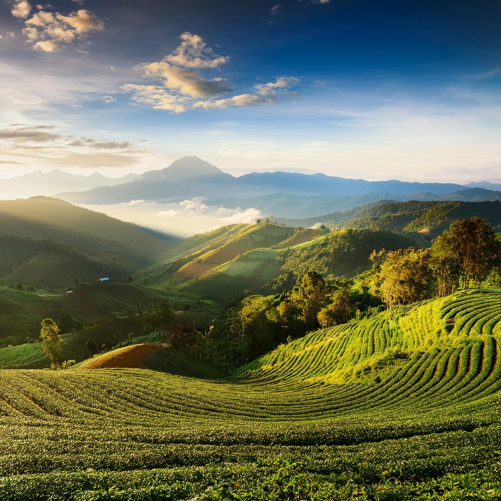 Beautiful nature of chiang mai, demonstrating the beauty of what our Excursions look like.